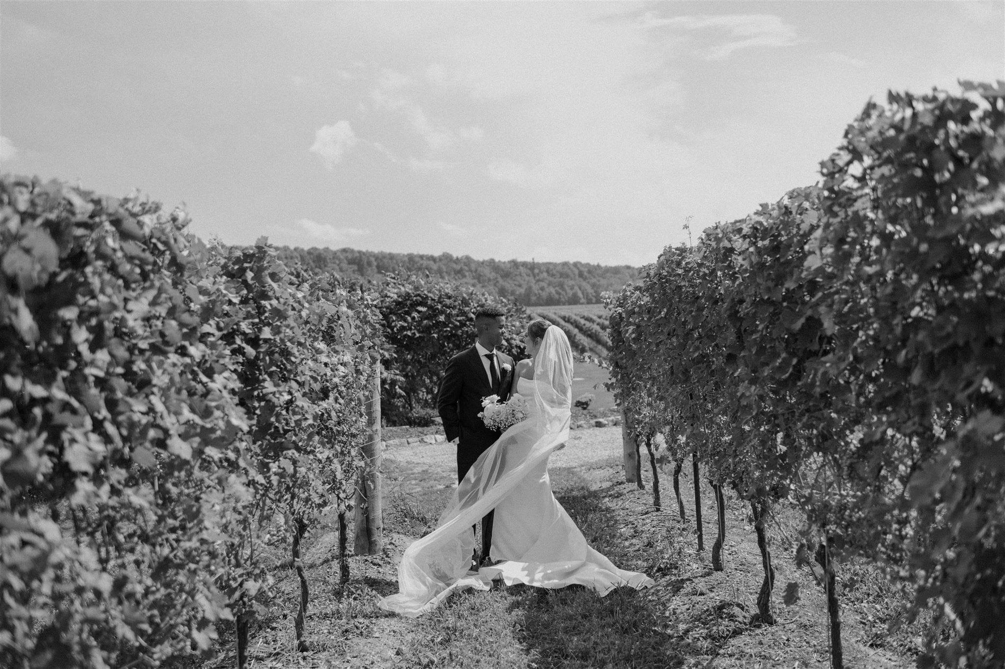 A bride and groom embrace on their wedding day in the vineyards at Cave Springs Winery.